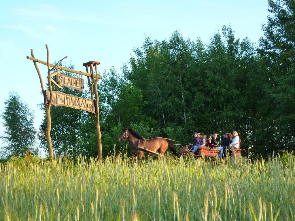 Bed and Breakfast Silaine Recreation & Leisure Ошкіне Екстер'єр фото